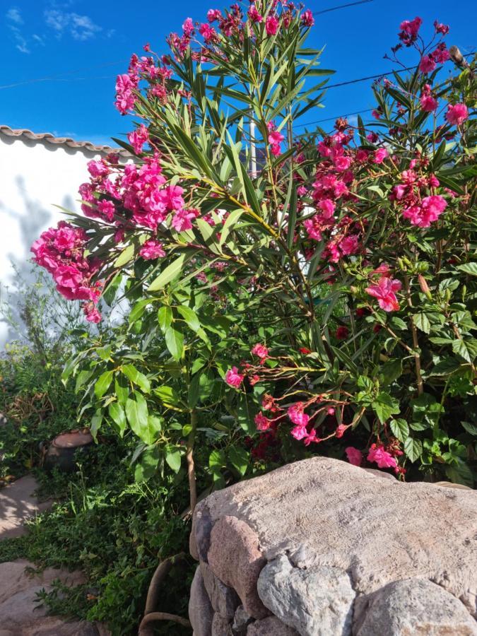 Flores De La Villa Huayoccare Exteriör bild